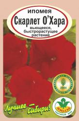 цв. одн. ИПОМЕЯ  СКАРЛЕТ О*ХАРА ВЬЮНОК / АГРО САД /